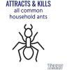 imageBundle of TERRO T300B Liquid Ant Killer 12 Bait Stations  TERRO T1813B Outdoor ReadytoUse Liquid Ant Bait Stake Killer Trap  Kills Common Household Ants