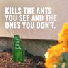 imageTERRO Liquid Ant Baits  T1813B  Outdoor ReadytoUse Terro Ant Traps Kills Household Ants 12 Stakes12 Bait Stations
