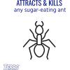 imageTERRO T18043SR Outdoor ReadytoUse Liquid Ant Bait Killer and Trap  Kills Common Household Ants  12 Bait Stations