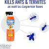 imageTERRO T1901SR Ready to Use Indoor and Outdoor Carpenter Ant Termite and Carpenter Bee Killer Aerosole Spray  2 Pack 32 Total OuncesSpray