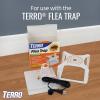 imageTERRO T231 Flea Trap Refills  Replacement Flea Trap Glue BoardsWhite 3 Count Pack of 1