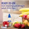 imageTerro Fruit Fly Traps for Indoors 12 Pack  540 Days of Lure Supply12 Traps