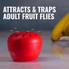 imageTerro Fruit Fly Traps for Indoors 12 Pack  540 Days of Lure Supply4 Traps