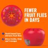 imageTerro Fruit Fly Traps for Indoors 12 Pack  540 Days of Lure Supply4 Traps