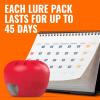imageTerro Fruit Fly Traps for Indoors 12 Pack  540 Days of Lure Supply6 Traps