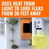 imageTerro T230 Indoor Electric Flea Trap and Killer  Refillable Flea Traps for Inside Your HomePack of 1