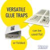 imageTerro T3206 Spider ampamp Insect Trap 4 Count Pack of 110 Pack