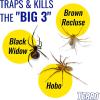 imageTerro T3206 Spider ampamp Insect Trap 4 Count Pack of 110 Pack