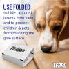 imageTerro T3206 Spider ampamp Insect Trap 4 Count Pack of 110 Pack