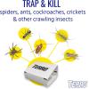 imageTerro T3206 Spider ampamp Insect Trap 4 Count Pack of 110 Pack