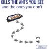 imageTerro T360 Ant ampamp Roach Bait  Indoor Ant Killer and Roach Killer  Attracts and Kills Ants Roaches and Silverfish2 Pack