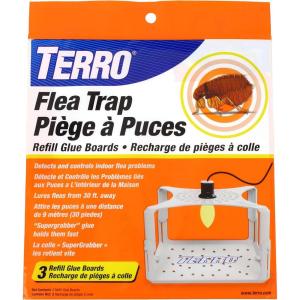 imageTERRO T231 Flea Trap Refills  Replacement Flea Trap Glue BoardsWhite 3 Count Pack of 1