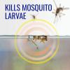 imageTERRO T1210 No Mess Mosquito Larvacide Pouches  10 Pouches Included