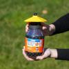 imageTERRO T362 Outdoor Yellow Jacket Trap with Bait