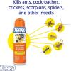 imageTERRO T401SR Indoor and Outdoor Ant Killer Aerosol Spray  Kills Ants Cockroaches Crickets Scorpions Spiders and Other Insects  2 Pack 32 Total Ounces
