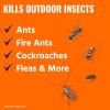 imageTERRO T901SR Ant Killer Plus MultiPurpose Insect Control for Outdoors  Kills Fire Ants Fleas Cockroaches and Other Crawling Insects  2 Pack Granule1 Pack