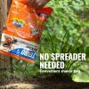 imageTERRO T901SR Ant Killer Plus MultiPurpose Insect Control for Outdoors  Kills Fire Ants Fleas Cockroaches and Other Crawling Insects  2 Pack Granule1 Pack