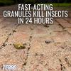 imageTERRO T901SR Ant Killer Plus MultiPurpose Insect Control for Outdoors  Kills Fire Ants Fleas Cockroaches and Other Crawling Insects  2 Pack Granule2 Pack
