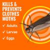 imageTERRO Clothes Moth Killer  T2903 3 Pack  Kills Adult Clothes Moths Moth Larvae and Moth Eggs  No Moth Balls Odor