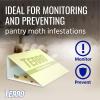 imageTERRO T2900 Pack of 2 Pantry Moth Traps  Traps grain moths flour moths meal moths and seed moths Packaging May Vary
