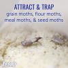 imageTERRO T2900 Pack of 2 Pantry Moth Traps  Traps grain moths flour moths meal moths and seed moths Packaging May Vary