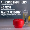 image:imageTERRO Fruit Fly Trap Refills  4 Pack of Lure Refills